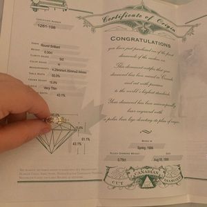 Diamond ring polar bear diamond ring